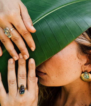 Anillos de concha