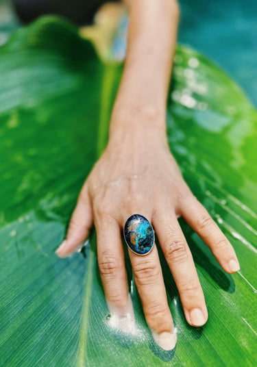 Anillos de visión
