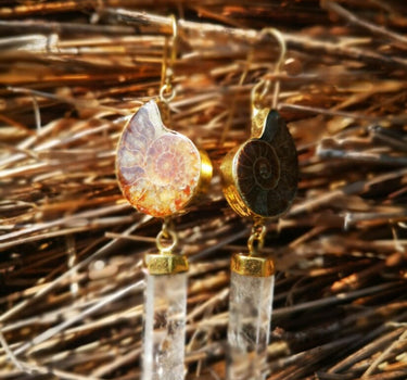 Ammonite + Crystal Earrings