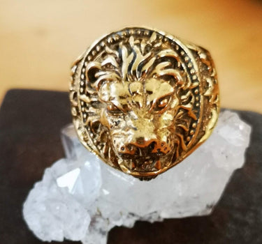 Anillo de latón Leona